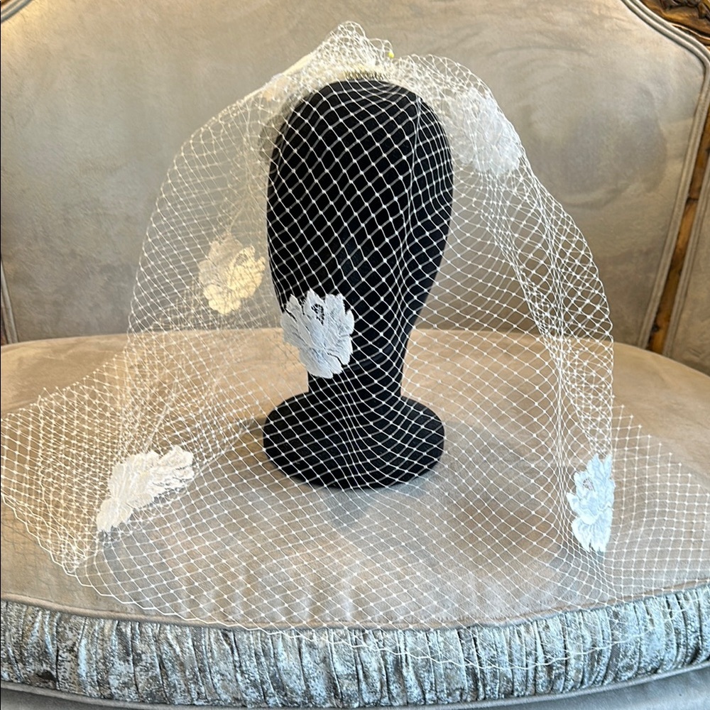 Birdcage veil with comb